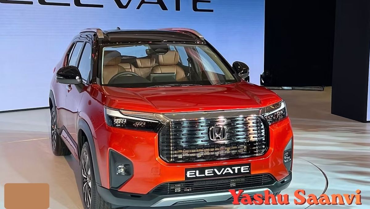 Elevate